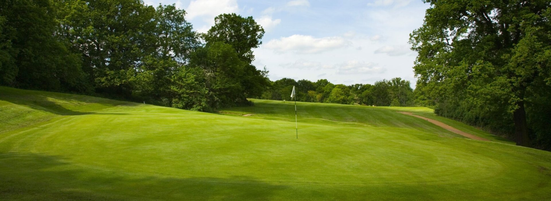 view of golf course with trees